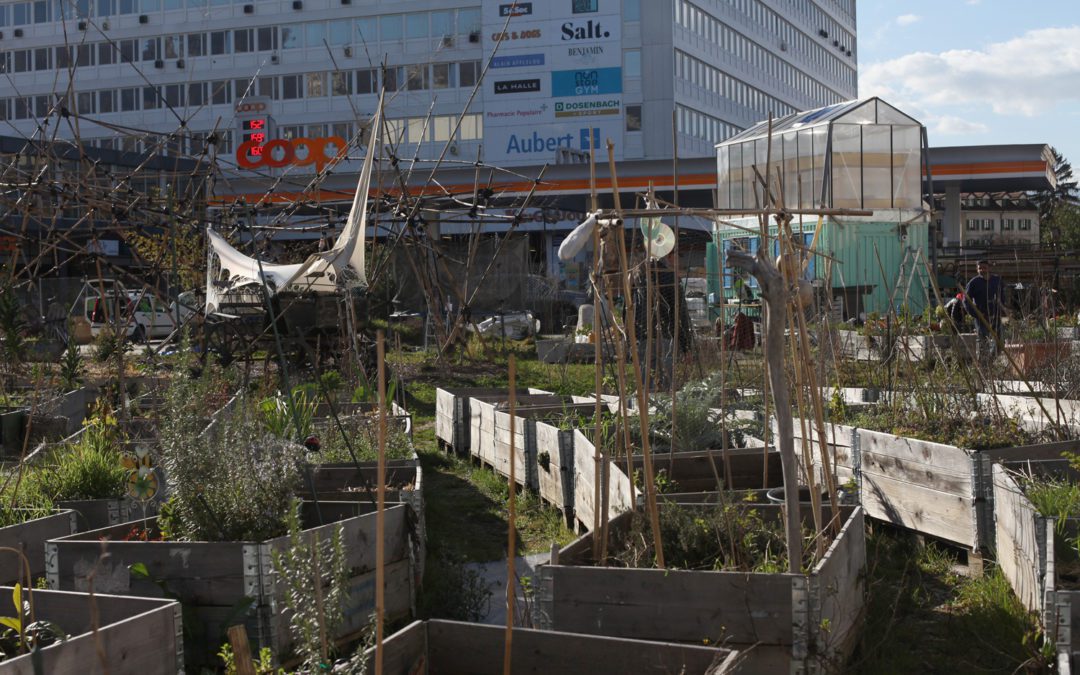 Accompagnement de l’Association des Jardiniers du Cardinal Mermillod