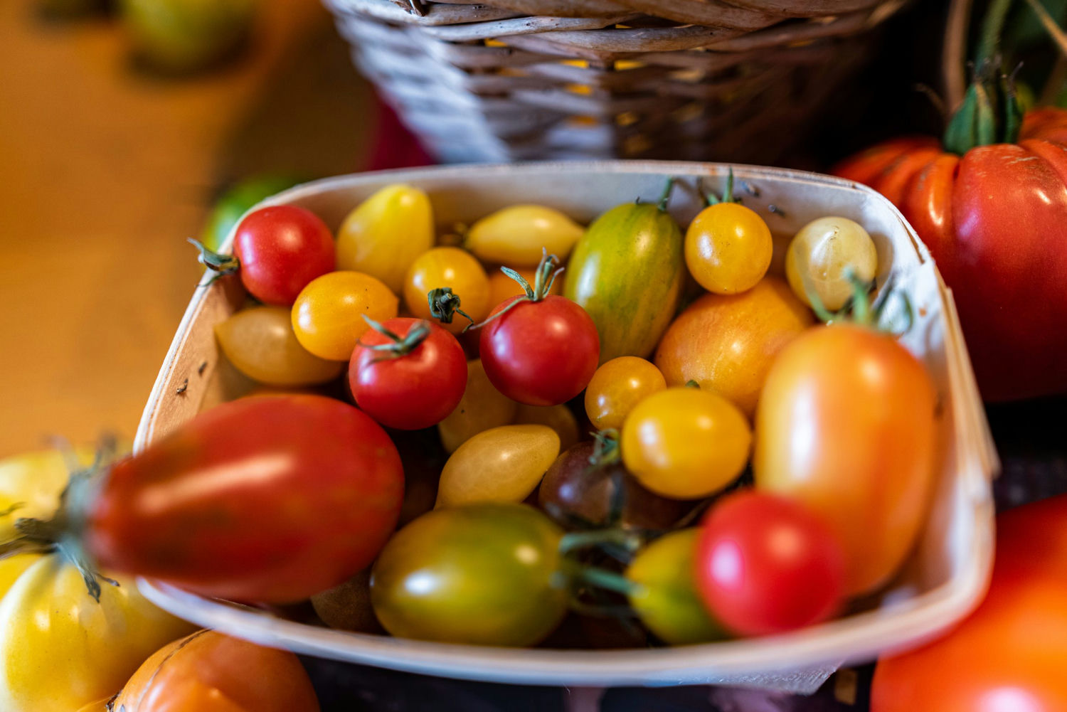 tomate - tomate ancienne - semence reproductible - graine de carotte - 