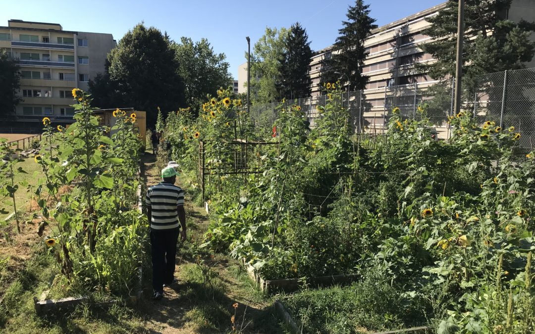 Planting Day (with Fête de la Nature) May 25, 2024