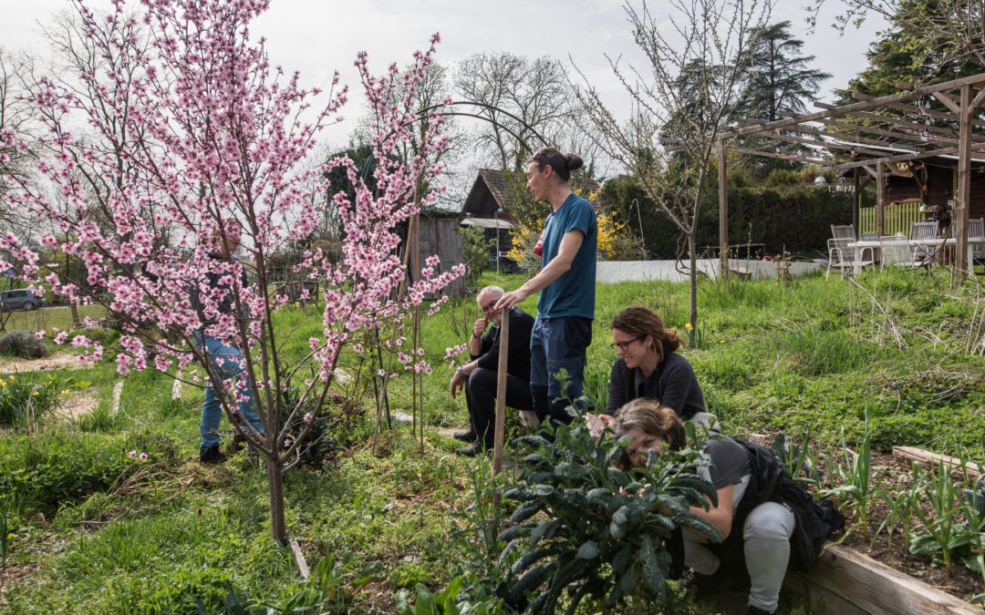 Week end d’introduction à la permaculture (avec Prospecierara) 10 et 11 Mai 2025