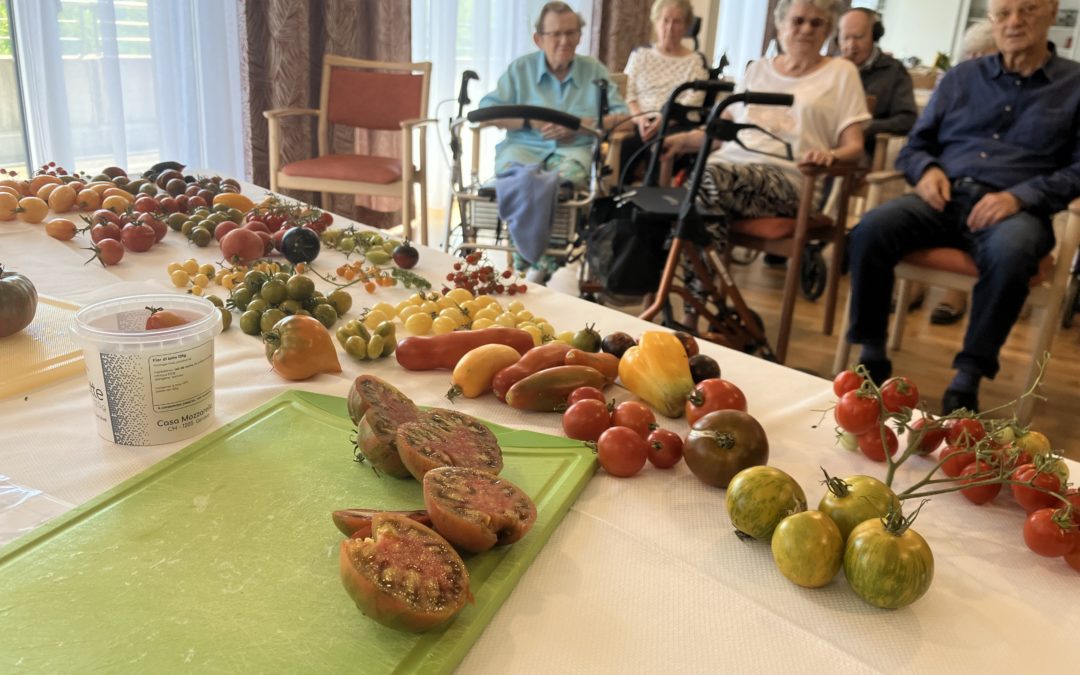 A la recherche des goûts oubliés. La tomate s’invite dans les EMS (EPHAD)