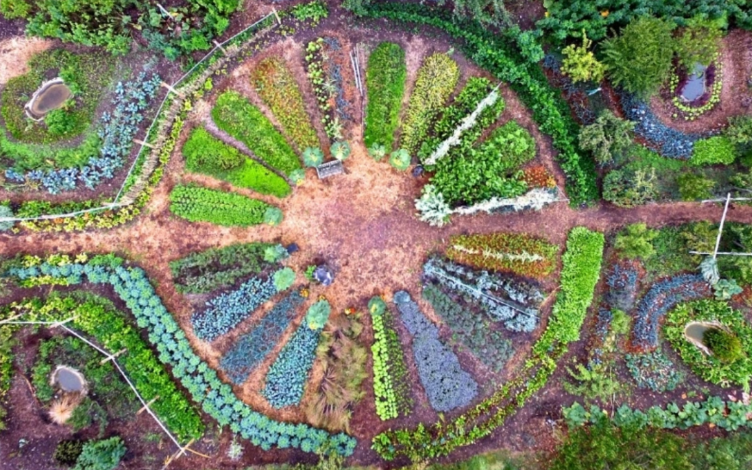 Week end d’introduction à la permaculture – 12 et 13 Oct 2024
