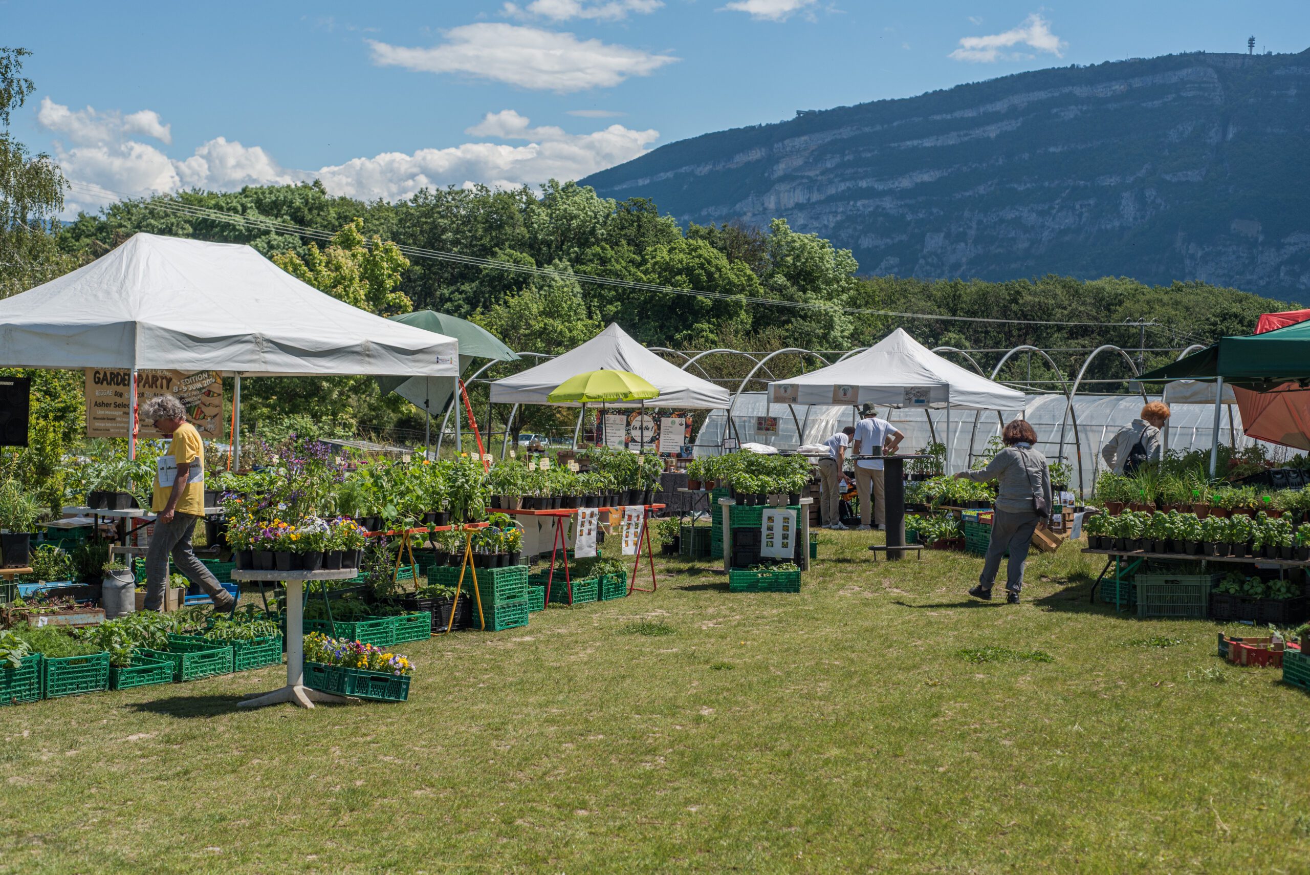 Marché aux plantons genève