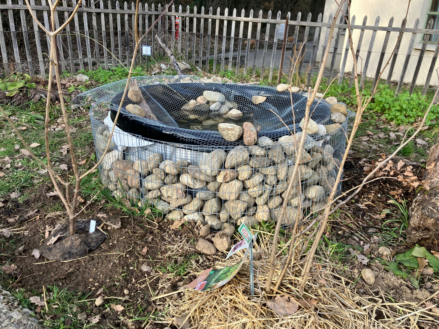 cr-er-une-mare-dans-son-jardin-graine-de-carotte