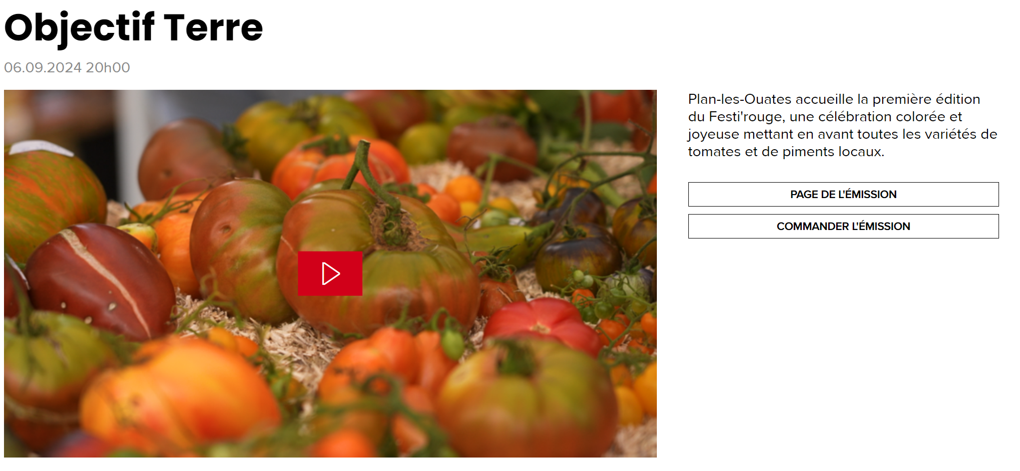 Festi'rouge. fête de la tomate à Genève