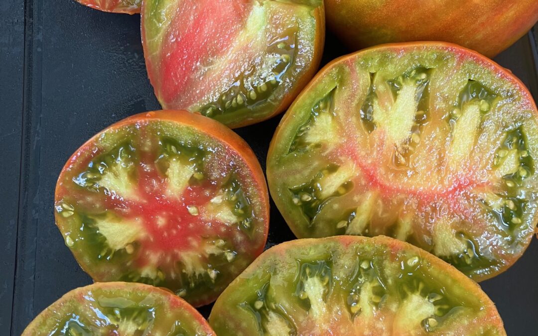 Tomates Genève – des variétés anciennes, locales et pleines de goût !