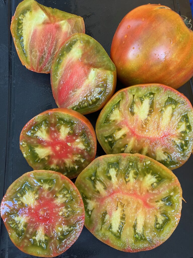 nos tomates cultivées a Genève
