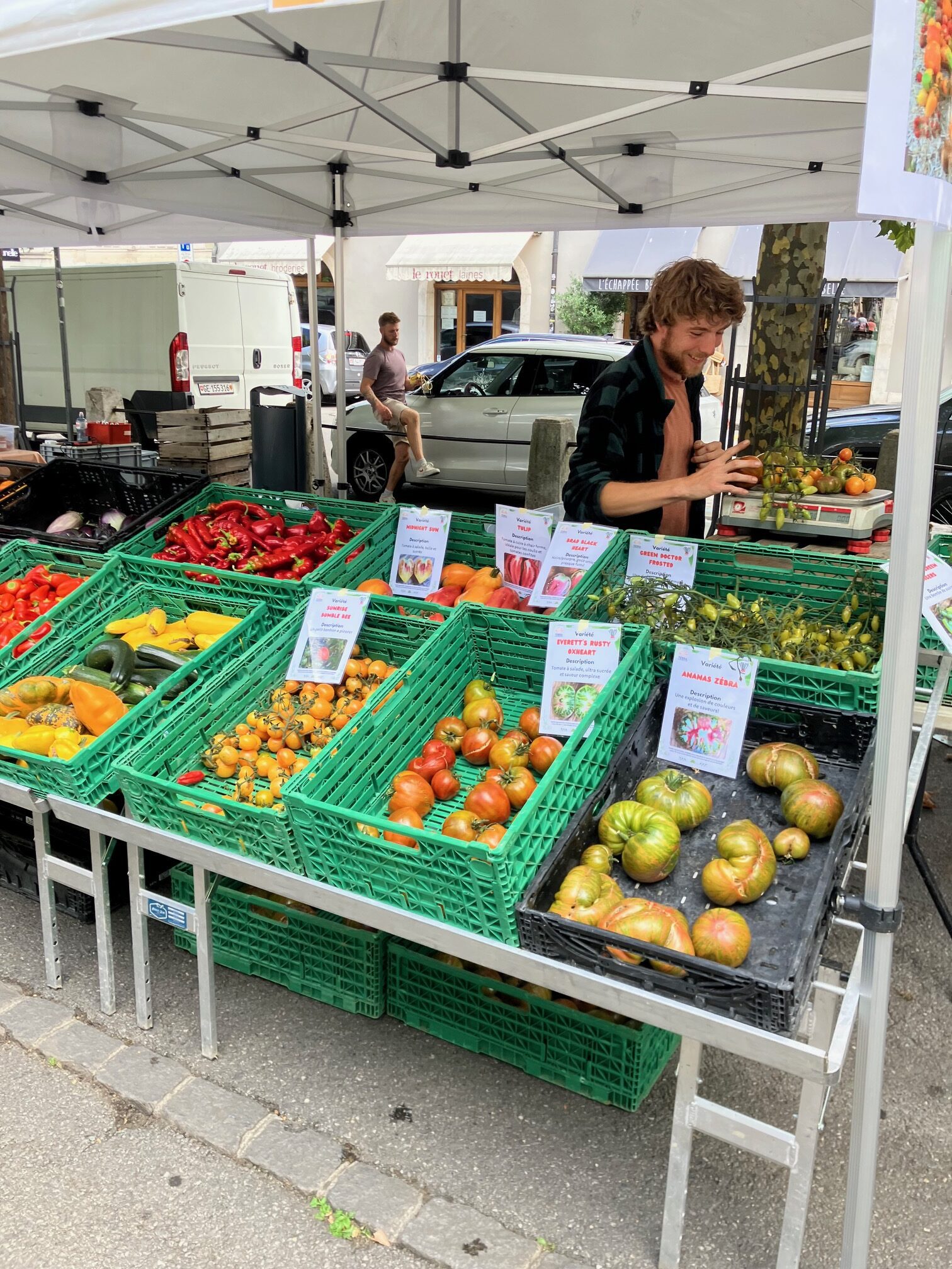 Tomates Genève, marché de Carouge