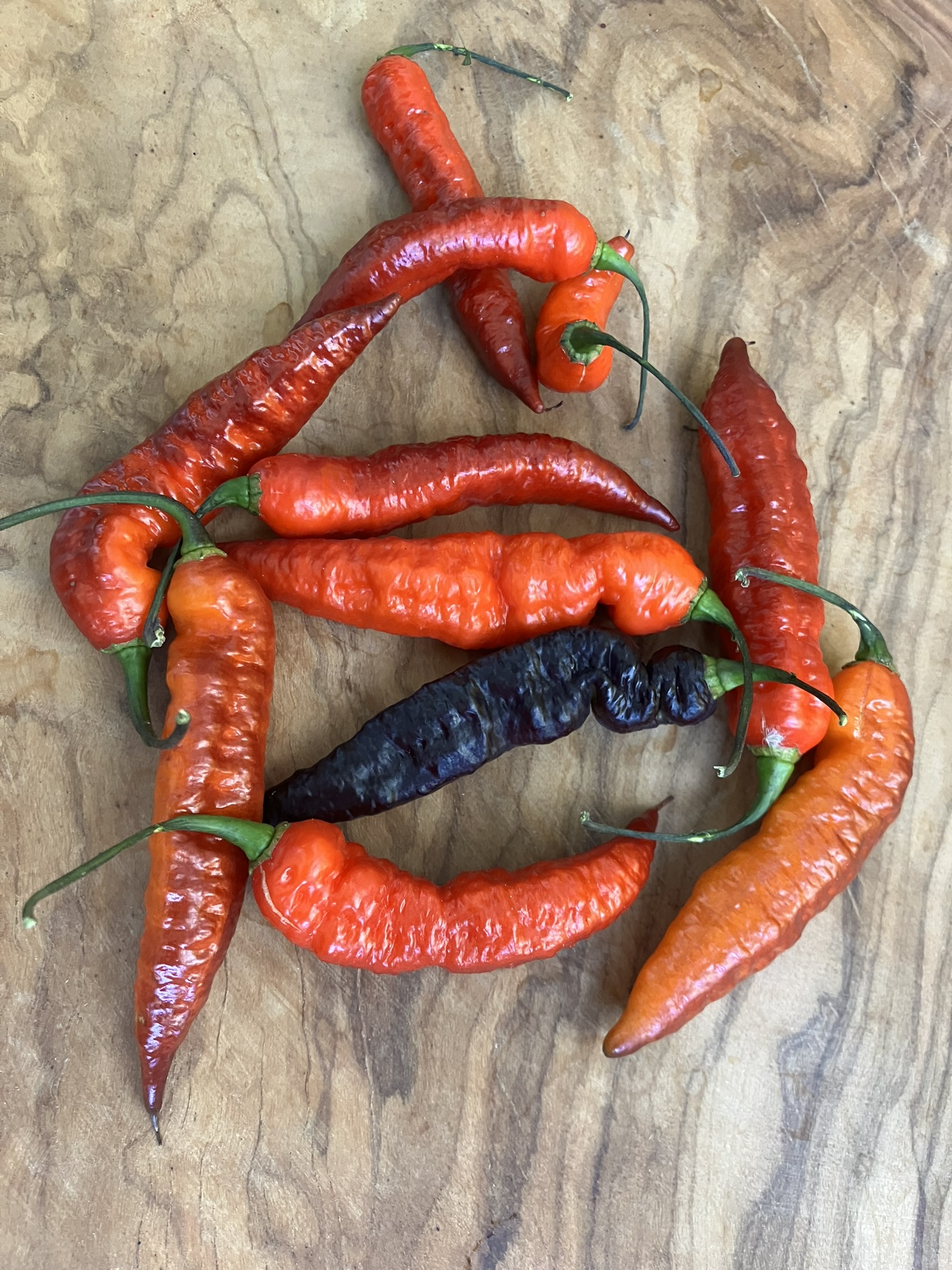 piment Nazgul’s Breakfast