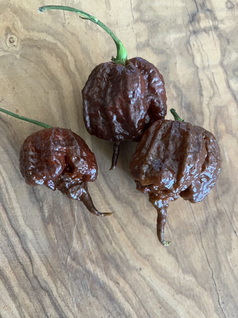 Carolina Reaper Chocolat