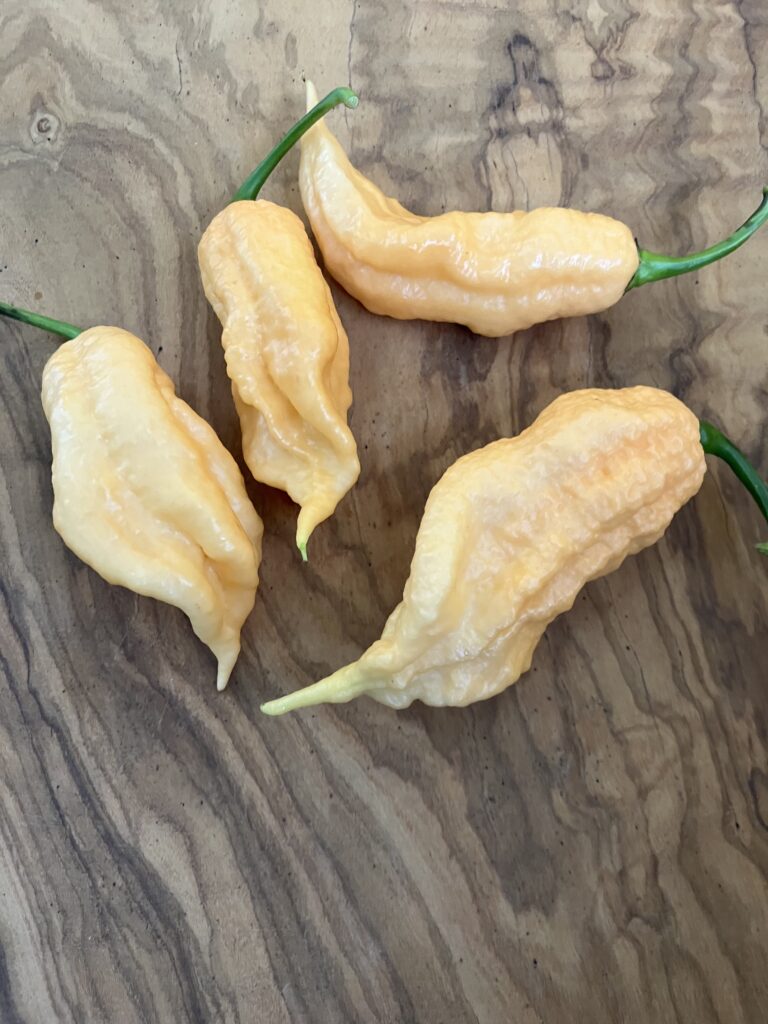 Bhut Jolokia Peach